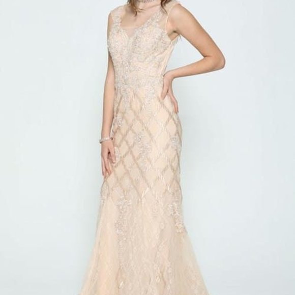 - Illusion V-Neck Sheath Shape Evening Dress JT677 - Picture 1 of 5